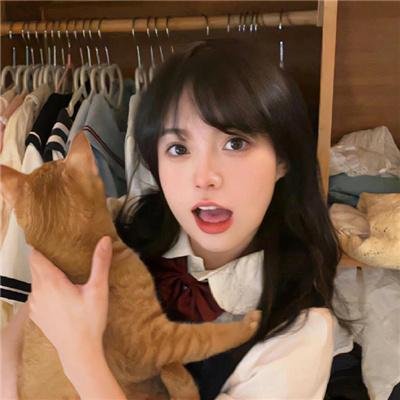 妙探机灵狗